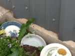 Photo - Vintage plates lining a flower bed